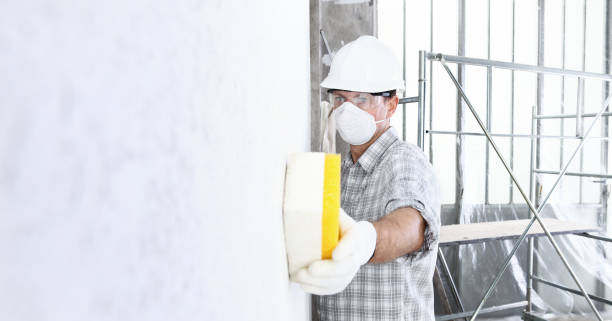 Best Mold Prevention Services  in Centrevle, IL