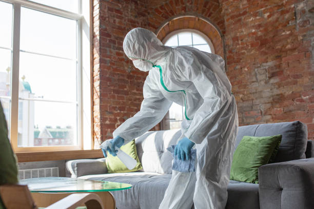 Best Emergency Mold Remediation  in Centrevle, IL